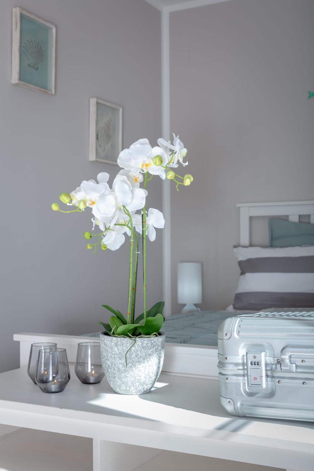 Villa Palmera Palma Extérieur photo
