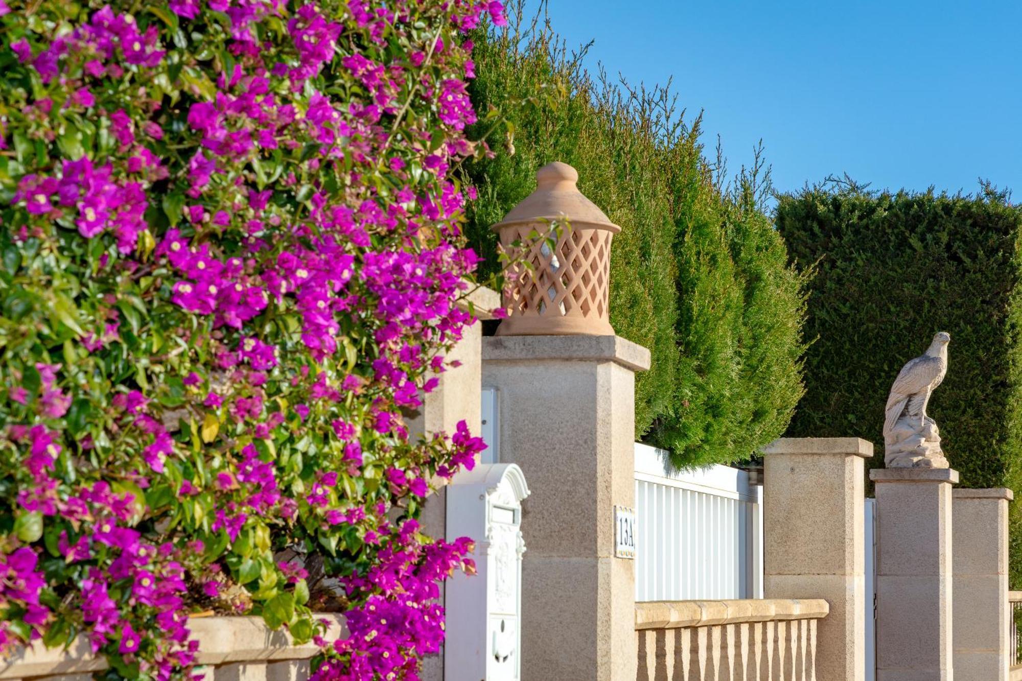 Villa Palmera Palma Extérieur photo